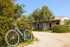 -Residence Lilybeo